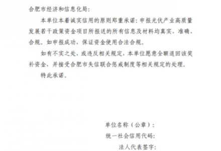 分布式光伏项目最高补贴10万元！安徽合肥进一步明确光伏产业补贴申报明细